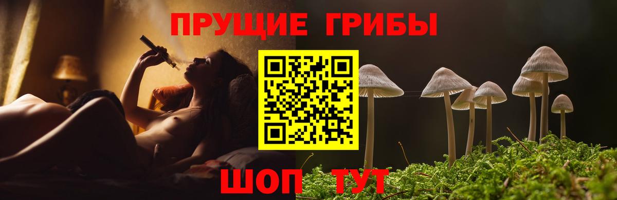 Галлюциногенные грибы Magic Shrooms Северск